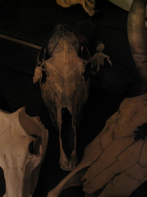 467x626 pixels (128K)